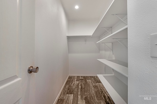 spacious closet featuring hardwood / wood-style flooring