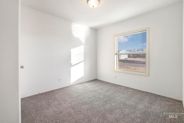 spare room featuring carpet