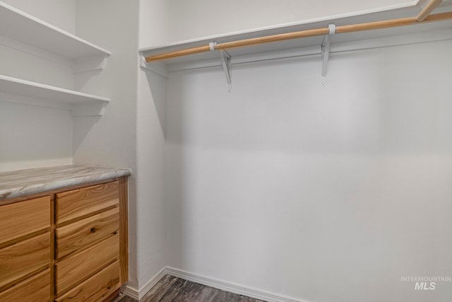 spacious closet with dark hardwood / wood-style flooring