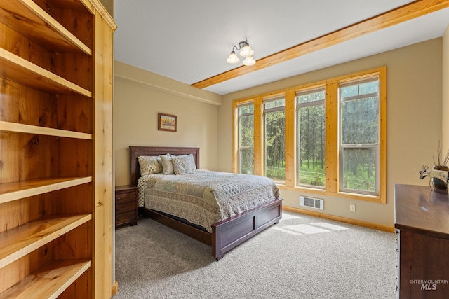 14199 Franklin Rd, Mccall, ID 83638 - view of carpeted bedroom