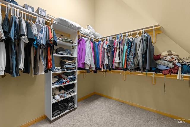 14199 Franklin Rd, Mccall, ID 83638 - walk in closet featuring carpet flooring and lofted ceiling