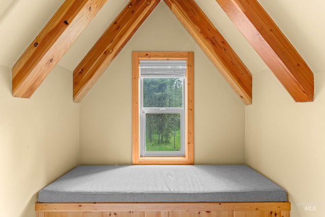 14199 Franklin Rd, Mccall, ID 83638 - bonus room with vaulted ceiling