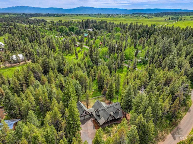 14199 Franklin Rd, Mccall, ID 83638 - view of subject property with a mountain backdrop