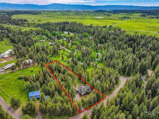 14199 Franklin Rd, Mccall, ID 83638 - view of property location with property parcel outlined and a heavily wooded area