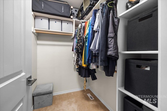 8096 E Jacob, Nampa, ID 83687 - walk in closet with carpet flooring