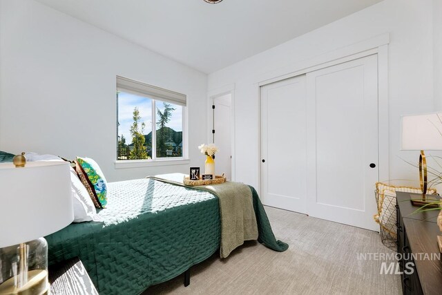 bedroom with a closet and light carpet