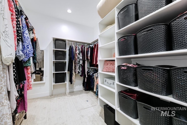 view of walk in closet