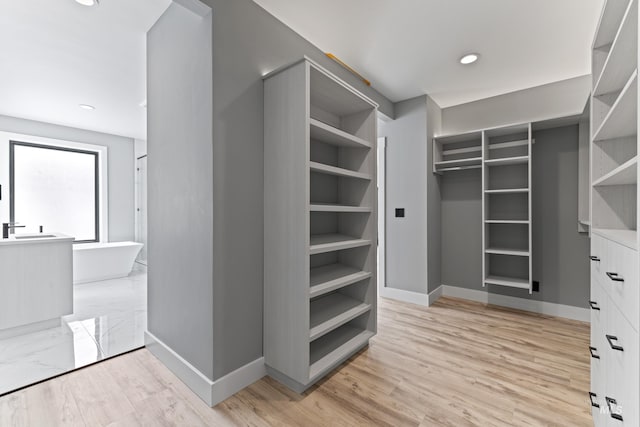 224 Meadow Lake Ct, Mccall, ID 83638 - walk in closet featuring light wood-style floors