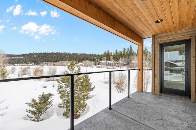 224 Meadow Lake Ct, Mccall, ID 83638 - view of snow covered back of property