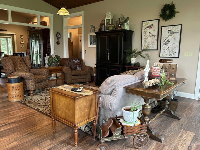 living room featuring dark hardwood / wood-style floors