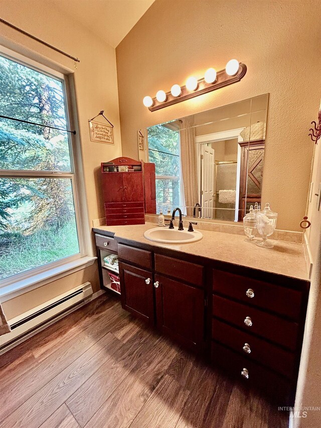 bathroom with vanity, wood-type flooring, and a baseboard heating unit