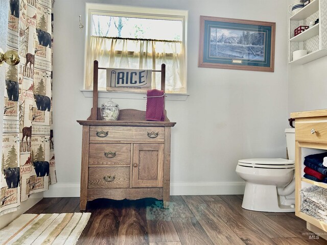 bathroom featuring vanity, wood-type flooring, and toilet