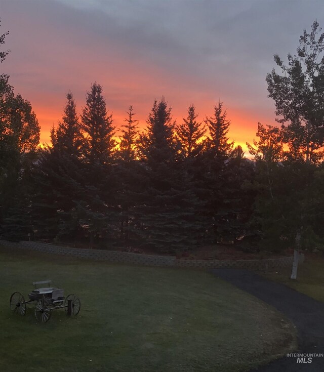 view of yard at dusk