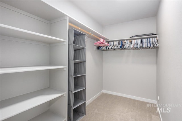 5144 W W Grand Rapids Dr, Meridian, ID 83646 - spacious closet featuring carpet floors