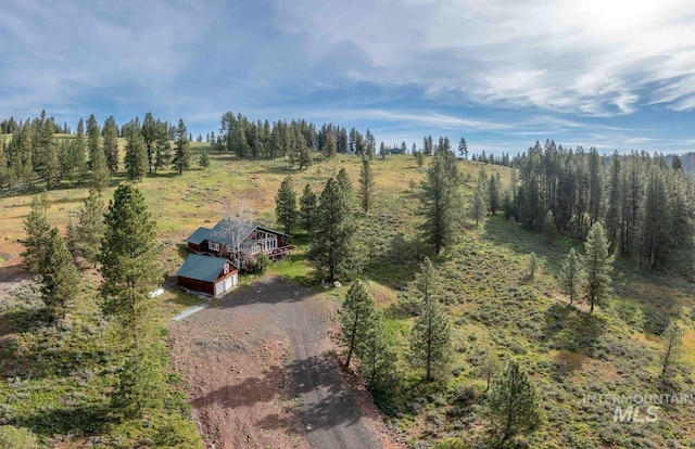 2597 Price Valley Rd, New Meadows, ID 83654 - aerial view of property and surrounding area