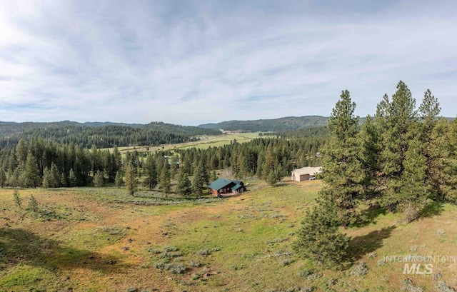 2597 Price Valley Rd, New Meadows, ID 83654 - mountain view with a forest