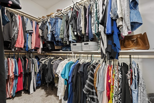 walk in closet featuring carpet flooring