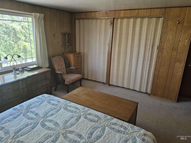 802 Foster Ave, Cottonwood, ID 83522 - carpeted bedroom with wooden walls