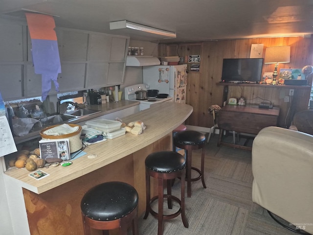 802 Foster Ave, Cottonwood, ID 83522 - kitchen with under cabinet range hood, range, wood walls, a kitchen bar, and light countertops