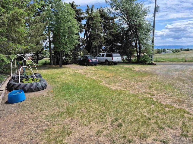 802 Foster Ave, Cottonwood, ID 83522 - view of grassy yard