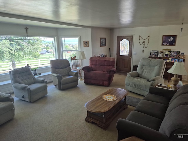 802 Foster Ave, Cottonwood, ID 83522 - living room featuring carpet floors and healthy amount of natural light