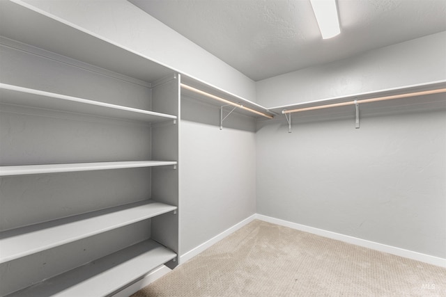 973 S Nautilus Ave, Boise, ID 83709 - spacious closet with carpet flooring