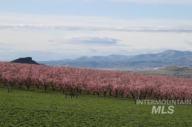 mountain view featuring a rural view