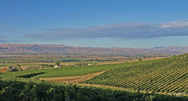 property view of mountains with a rural view