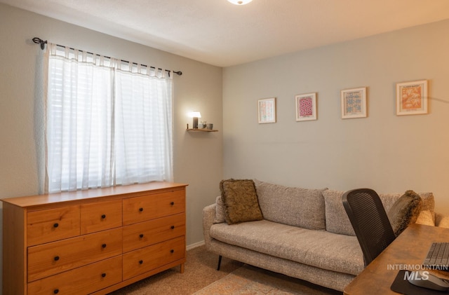 3929 N Shamrock Ave, Boise, ID 83713 - living area with carpet floors