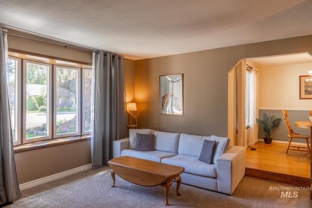 3929 N Shamrock Ave, Boise, ID 83713 - carpeted living area with baseboards