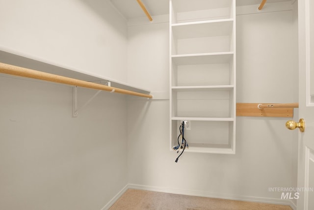 1522 Dana St, Twin Falls, ID 83301 - spacious closet featuring carpet