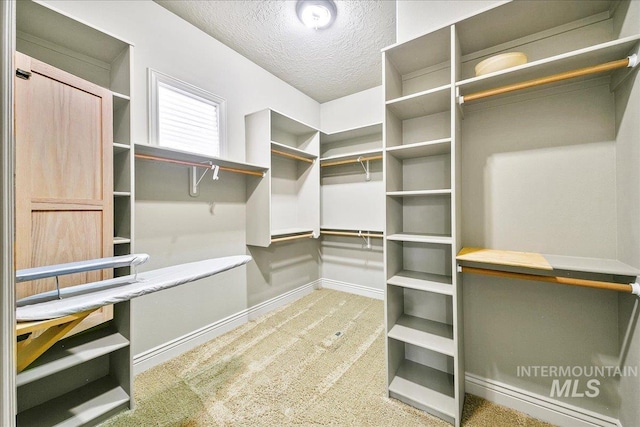 spacious closet with light carpet