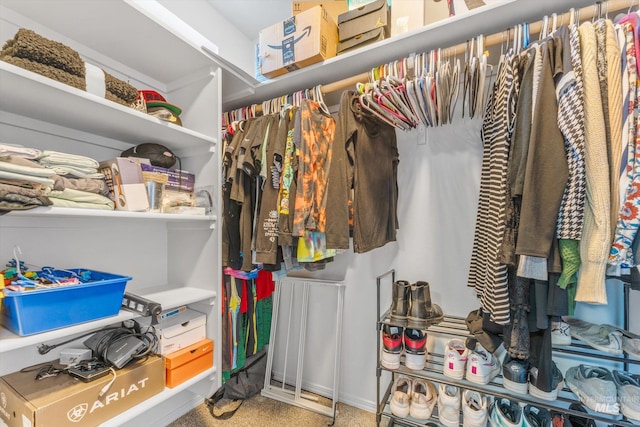 spacious closet featuring carpet