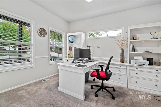 10450 W Antietam St, Boise, ID 83709 - office space with baseboards, visible vents, and light carpet
