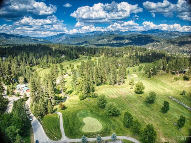 aerial view featuring a wooded view and a mountain view