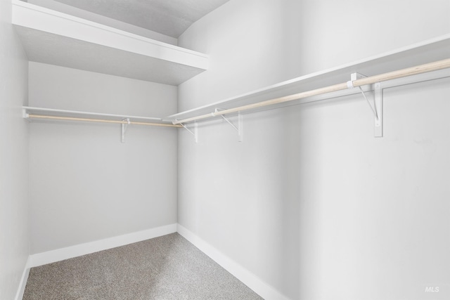 walk in closet with carpet