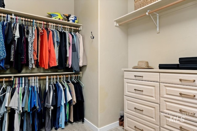 spacious closet featuring carpet