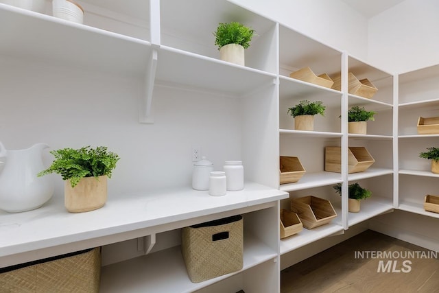 view of pantry