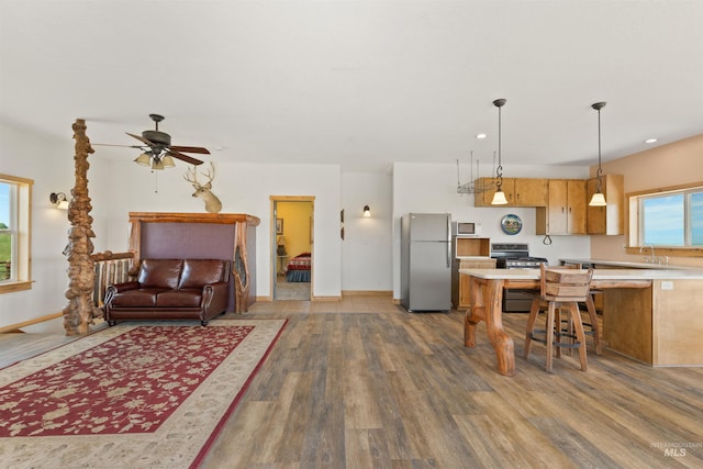 living room featuring hardwood / wood-style flooring and ceiling fan