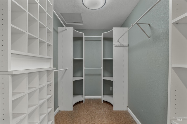 2220 14th St, Lewiston, ID 83501 - walk in closet with carpet floors and attic access