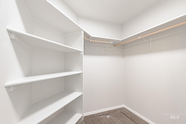 7343 E Marble Springs Dr, Nampa, ID 83687 - walk in closet with carpet