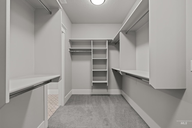 spacious closet with carpet flooring