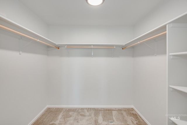 walk in closet with light colored carpet