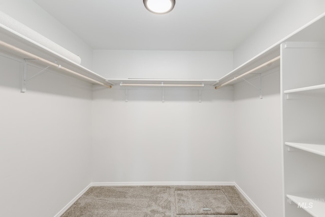 walk in closet with carpet floors