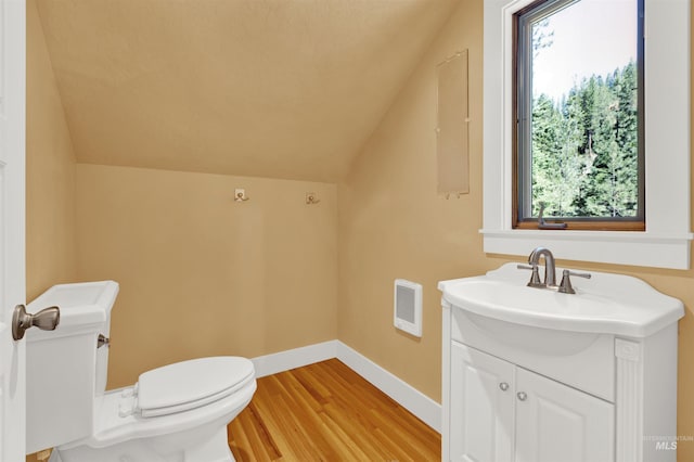 bathroom featuring plenty of natural light, lofted ceiling, and hardwood / wood-style flooring