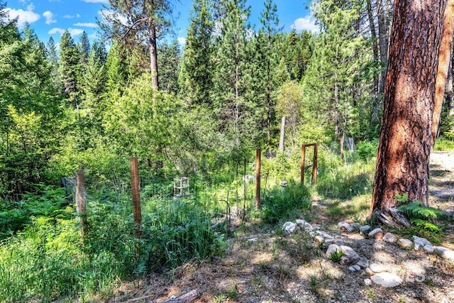 view of local wilderness