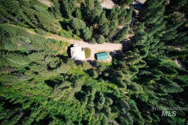 bird's eye view