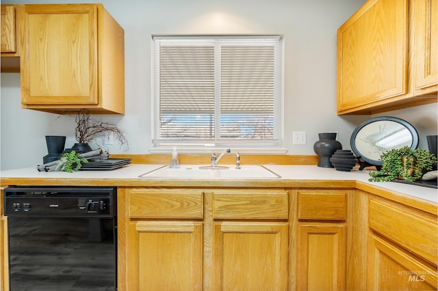 kitchen with sink and dishwasher