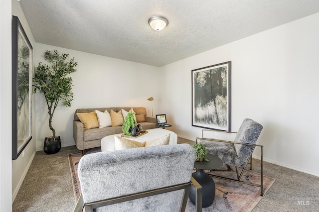 living room with a textured ceiling and carpet