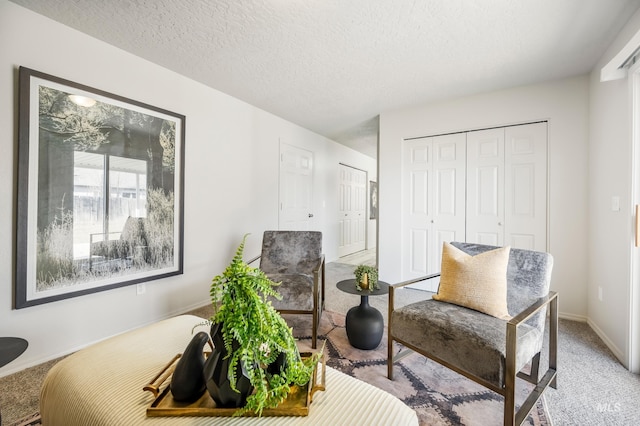 sitting room featuring a textured ceiling and light carpet